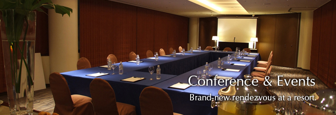 Conference & Parties