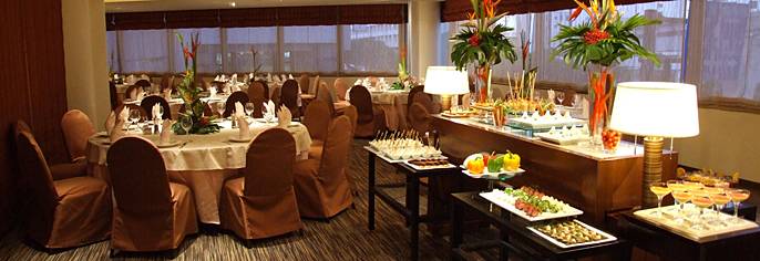Party & Conference