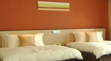 Deluxe Plus Twin Room